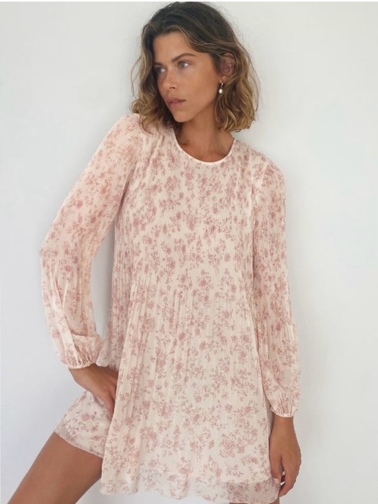 Wilfred Dresses & Skirts - Wilfred Daydreamer Mini Dress (XS, pink floral print)